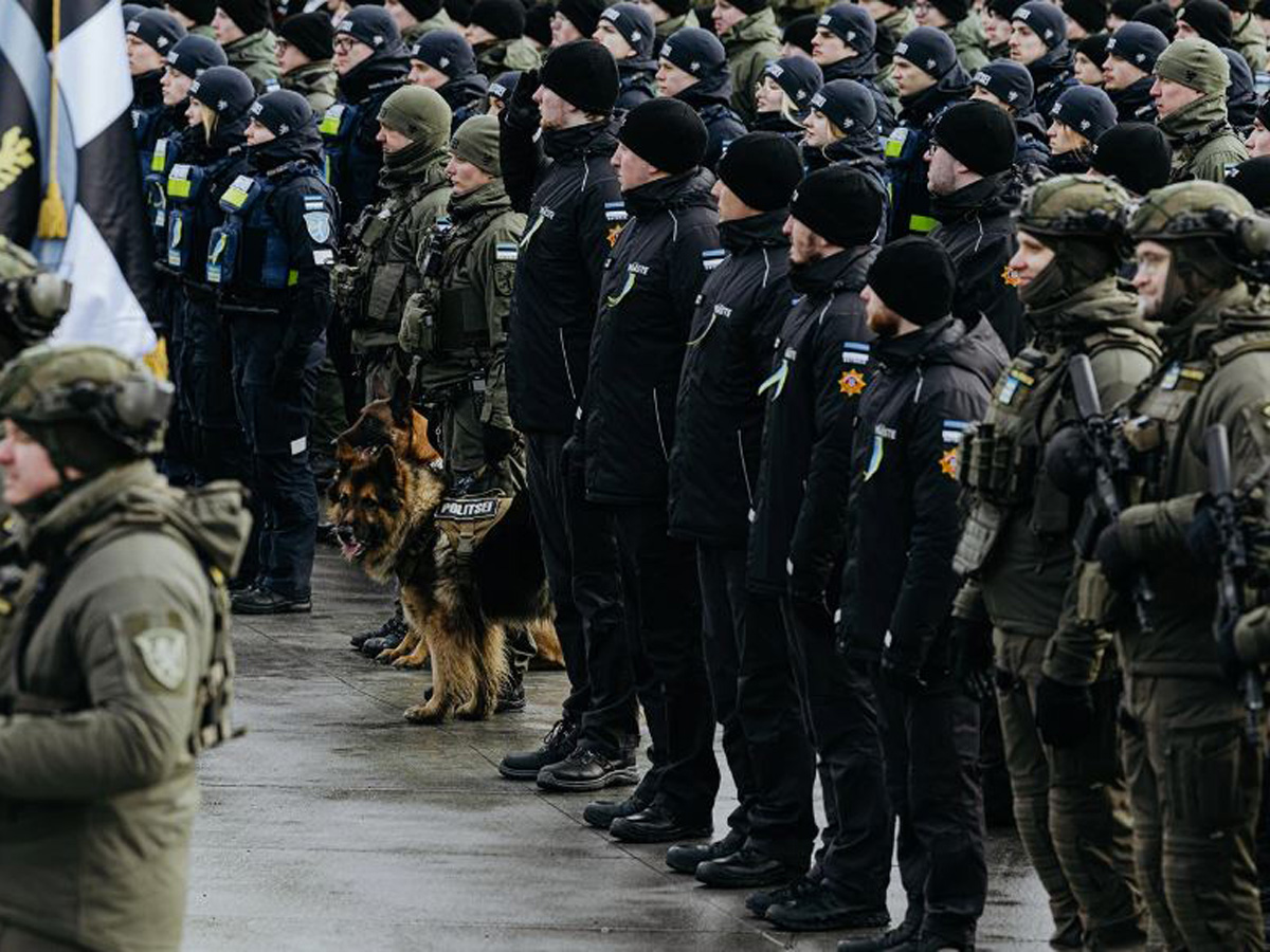 Папад Сил обороны Эстонии