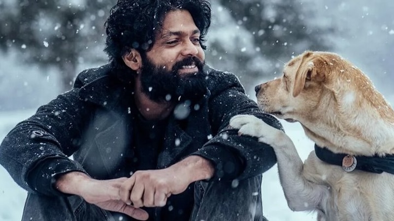 Топ-30 кинодрам по мнению пользователей IMDb