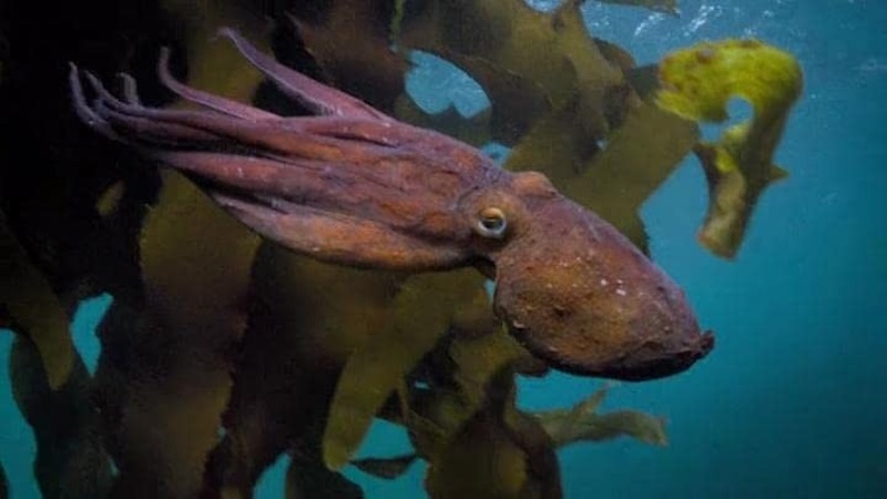 Топ-20 самых захватывающих документалок, в которые невозможно поверить