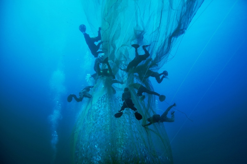 Топ-25 лучших мини-сериалов по версии пользователей на IMDb