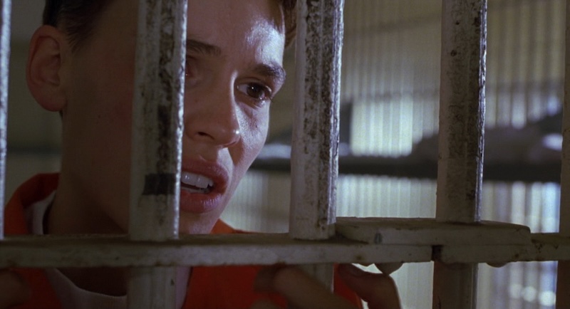 Лучшие фильмы женщин-режиссеров в истории кино