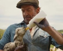 Овечьи детективы