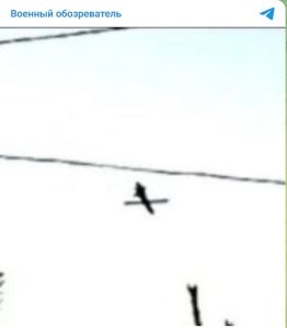 Фламинго в полете