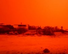 Черные птицы в Израиле и красное небо в Австралии: предвестники Апокалипсиса сняли на видео