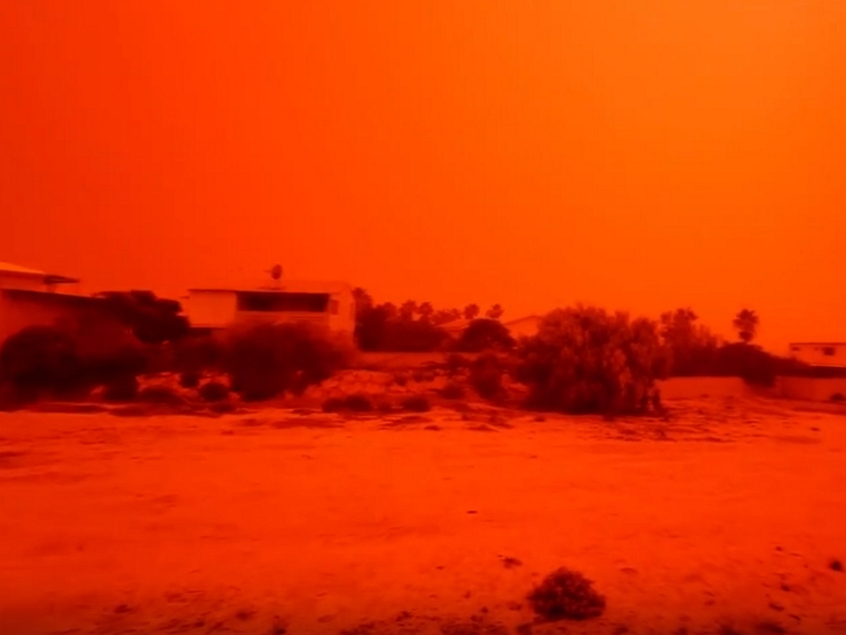 Черные птицы в Израиле и красное небо в Австралии: предвестники Апокалипсиса сняли на видео