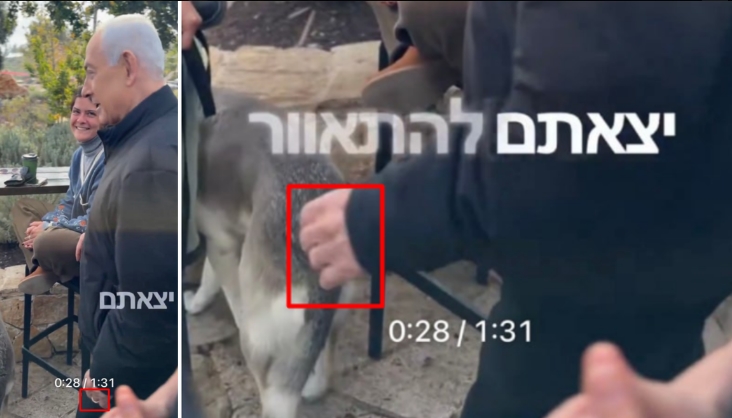 Нетаньяху жив или мёртв? Трамп отправил в Тель-Авив посланника — что стало известно СМИ