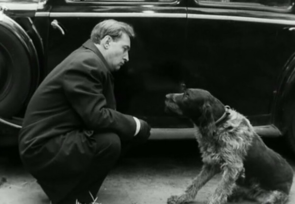 Любимые моменты в фильмах Гайдая и других режиссеров, которые родились случайно