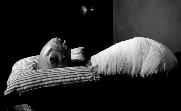 Топ-30 самых прибыльных фильмов в истории кино