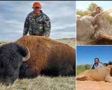 Охотившегося на антилопу миллионера из США насмерть растоптали слонихи в Габоне