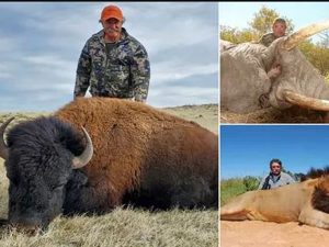 Охотившегося на антилопу миллионера из США насмерть растоптали слонихи в Габоне