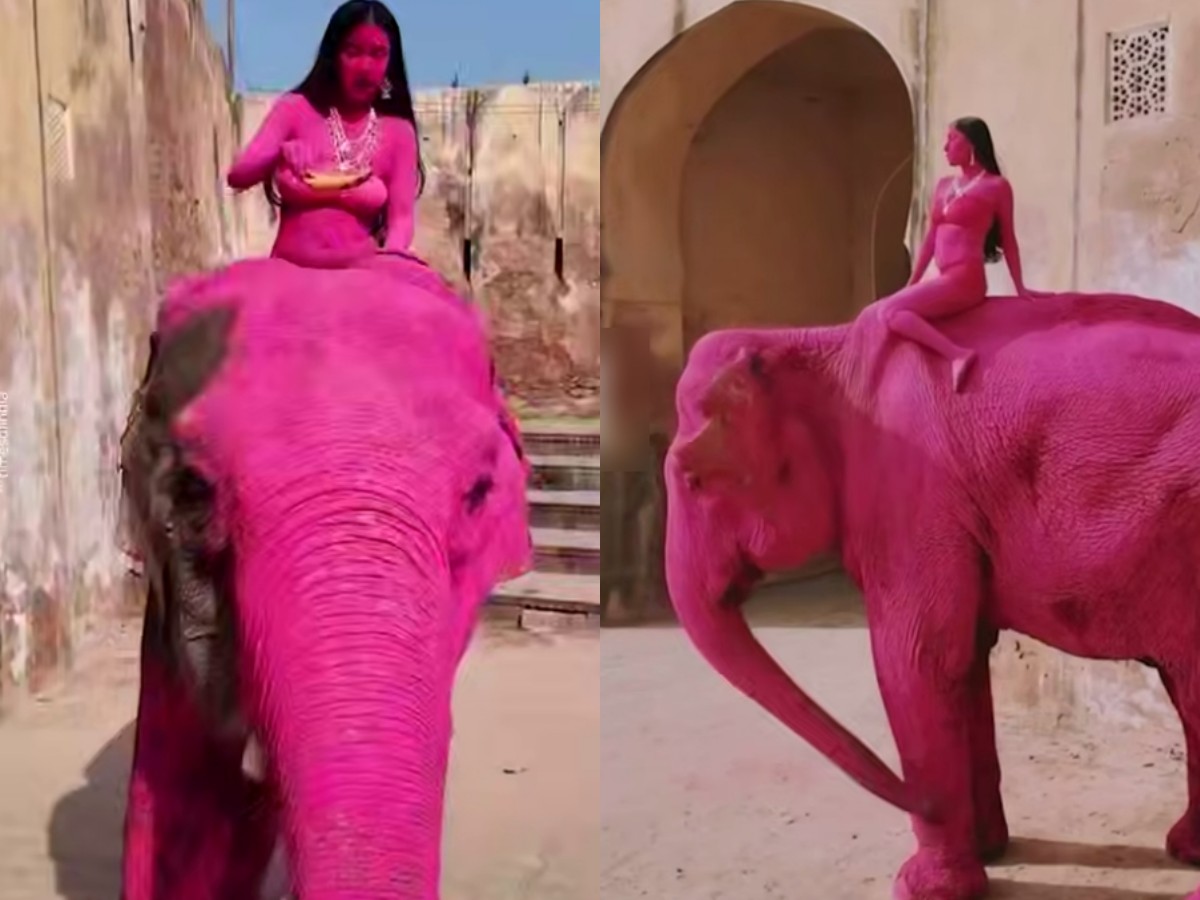 Фотографа из России обвинили в гибели слона, покрашенного для фотосессии