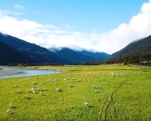 Новая Зеландия