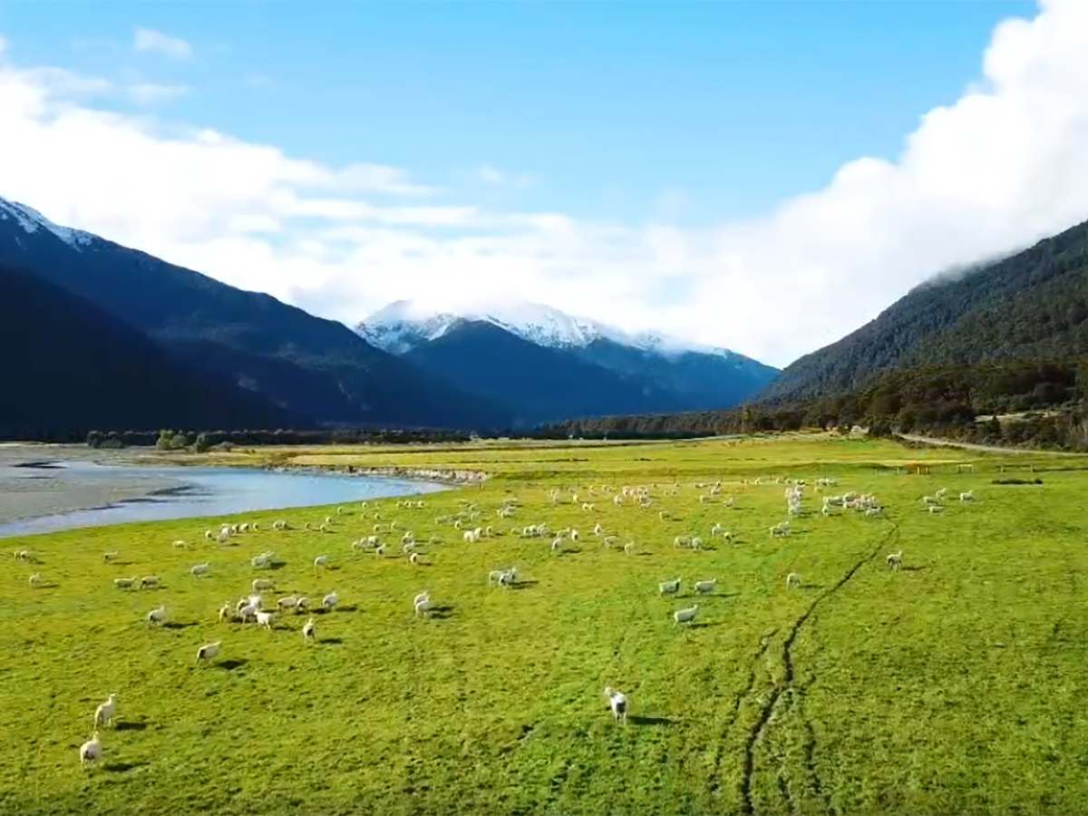 Новая Зеландия