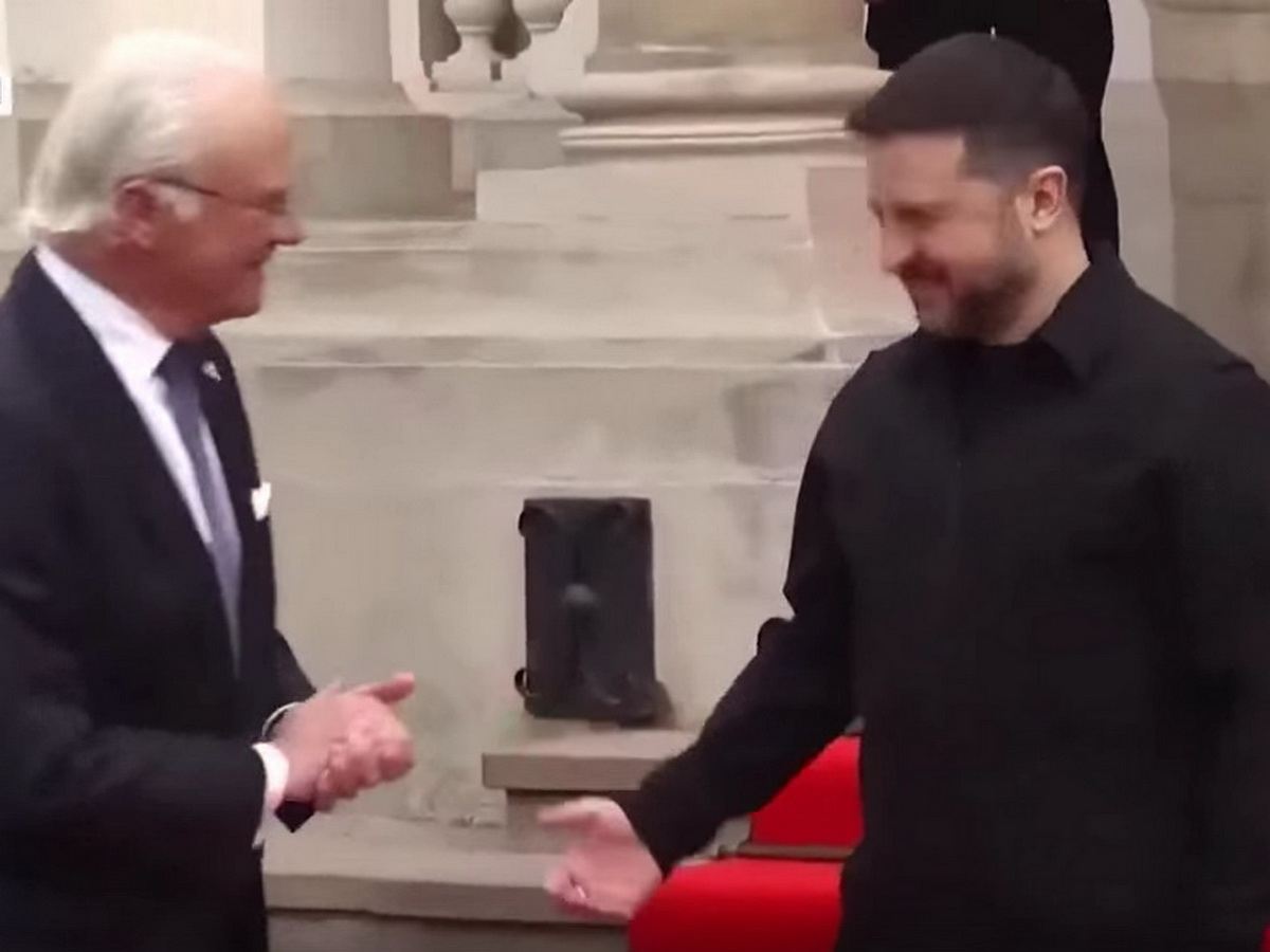 Зеленский и король Швеции