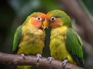 «Это бесчеловечно»: 50 попугаев отравлены газом в частном зоопарке Ленобласти