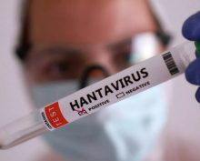 хантавирус