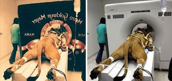 Самые громкие фотоподделки в истории
