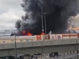 Садовод