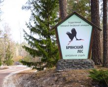 заповедник