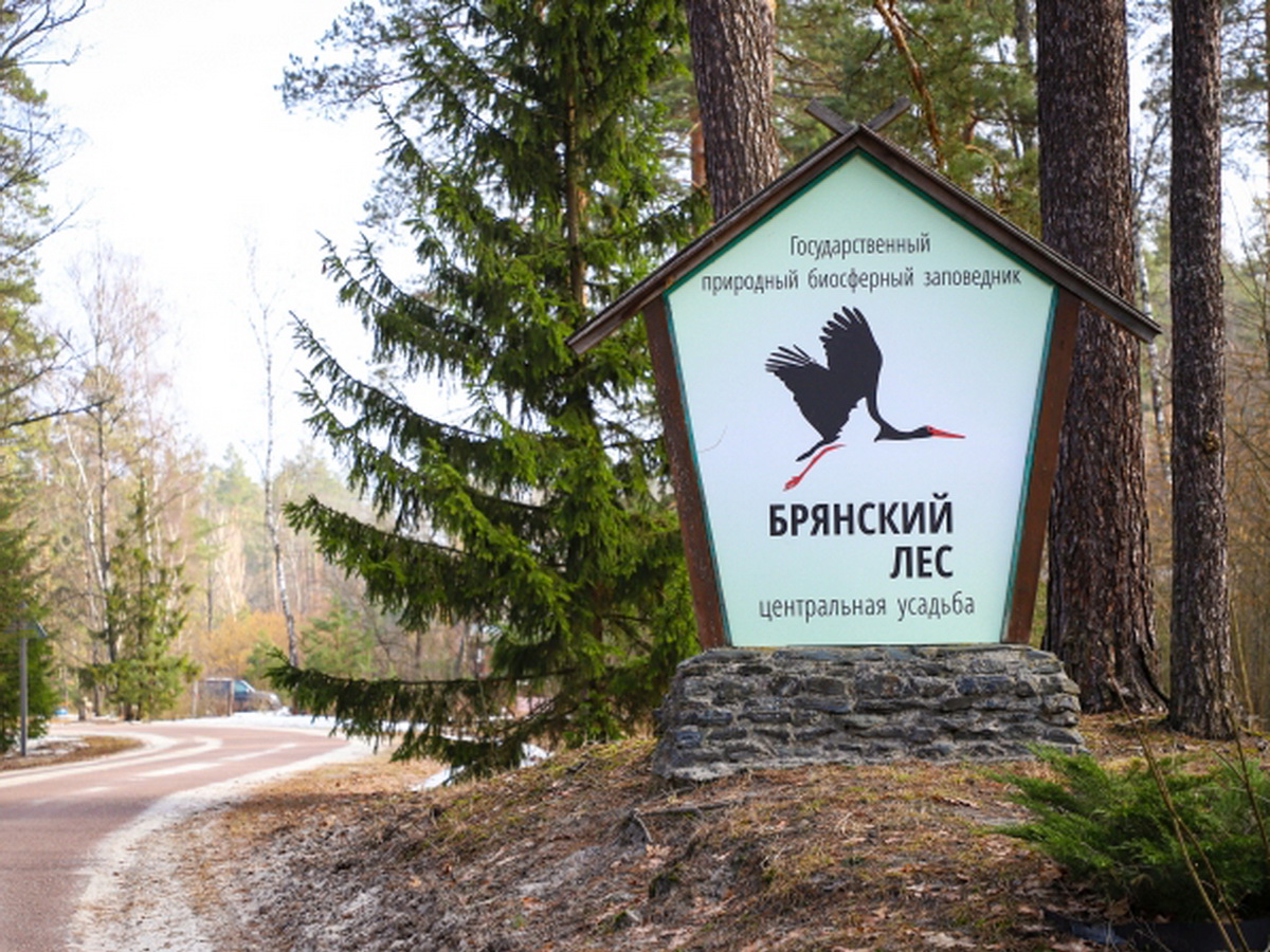 заповедник