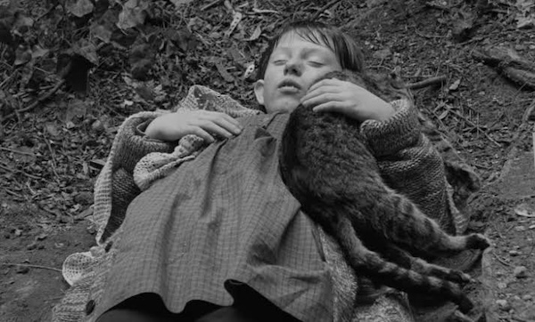30 лучших фильмов по мнению женщин: какие картины покорили зрительниц