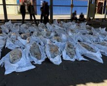 ФСБ в Петербурге на судне обнаружила 500 кг кокаина