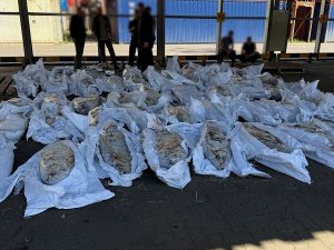ФСБ в Петербурге на судне обнаружила 500 кг кокаина