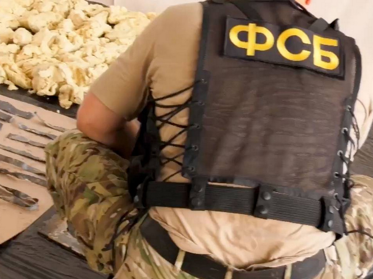 Готовили теракт на Крымском мосту