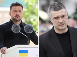 Зеленский и Федоров