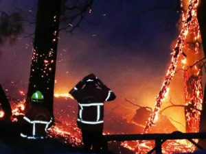 пока пожарные спасали роскошные виллы, сгорела целая коммуна