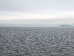 в России признали провал госпроекта по спасению Волги