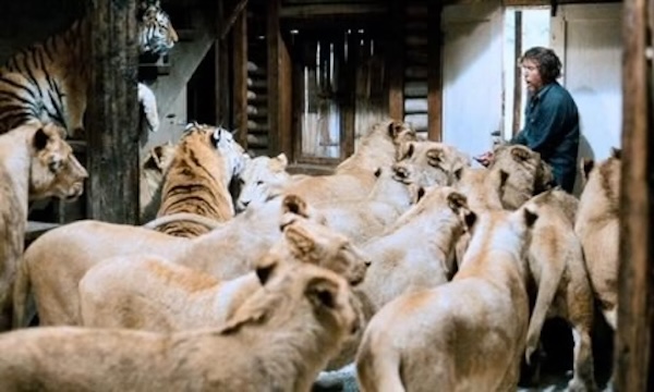 Страшнее самого фильма: 10 съемок, которые обернулись настоящим кошмаром