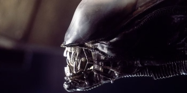 От худшего к лучшему: фильмы Ридли Скотта по оценкам зрителей IMDb