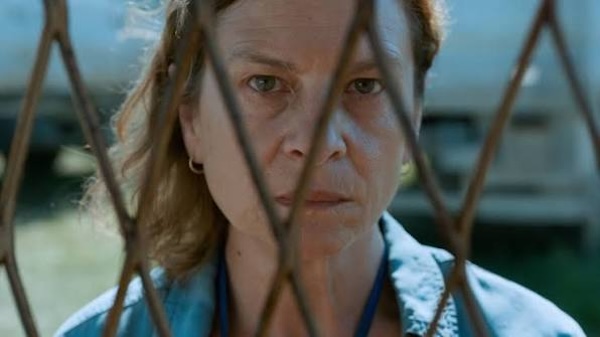100% на Rotten Tomatoes: названы 50 фильмов, которые покорили всех критиков