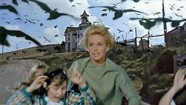 Их считали шедеврами, но зрители не согласились: названы 50 самых переоцененных фильмов