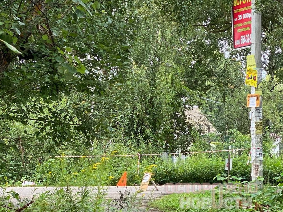 БПЛА в Подмосковье