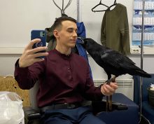 Брат хозяина ворона Гоши заявил о суициде блогера