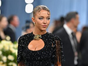 Суини