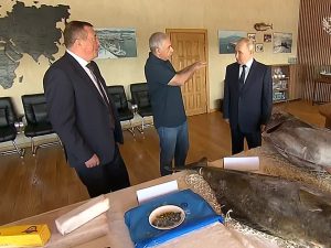 курильские острова итуруп