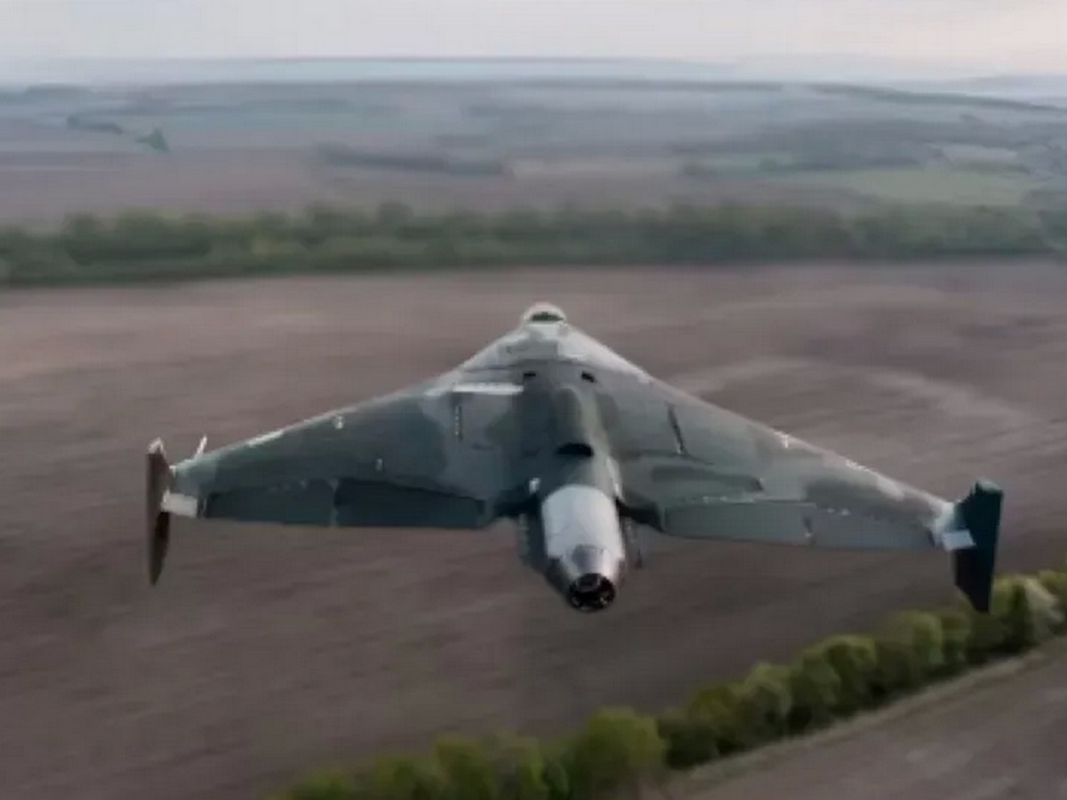 Герань-4