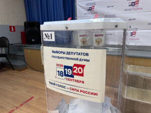 Выборы