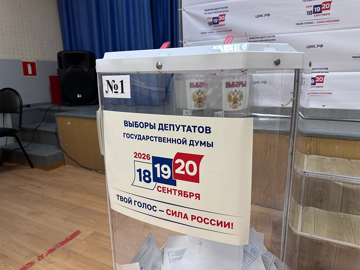Выборы